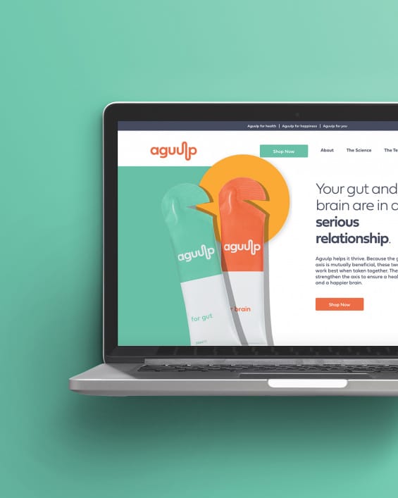 Aguulp website - Shop Now